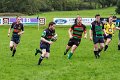 Monaghan 1st XV V. Holywood. October 5th 2013 (16)